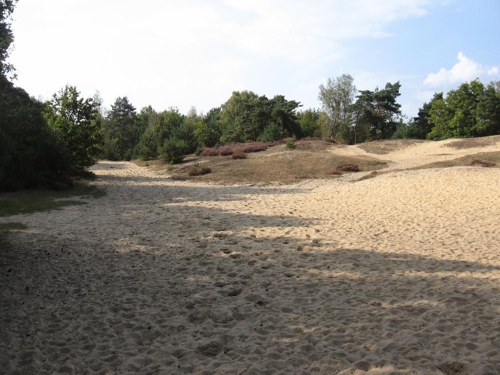 Landhuisjes Bij De Wouterbron Opglabbeek Екстериор снимка